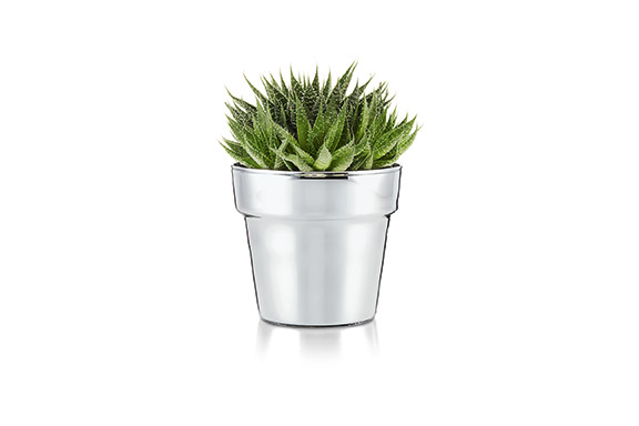 Promotional Pot glass flower pot Medium