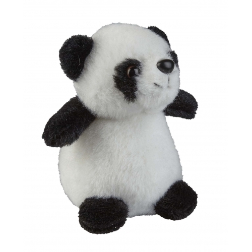 panda papito